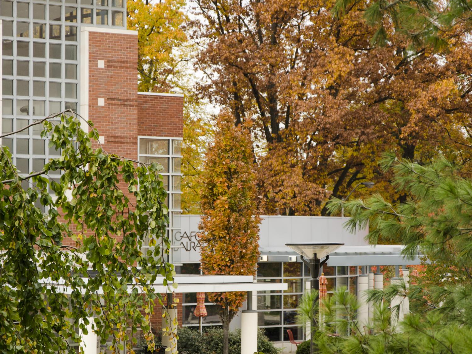 Cafe Laura on a fall afternoon