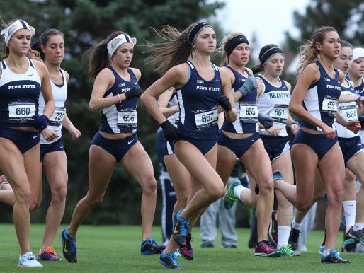 Women's cross country team running