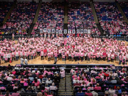Pink Zone 10th anniversary celebration