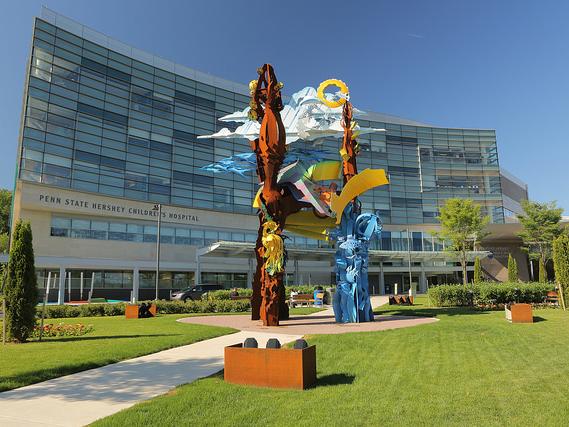 Penn State Children's Hospital