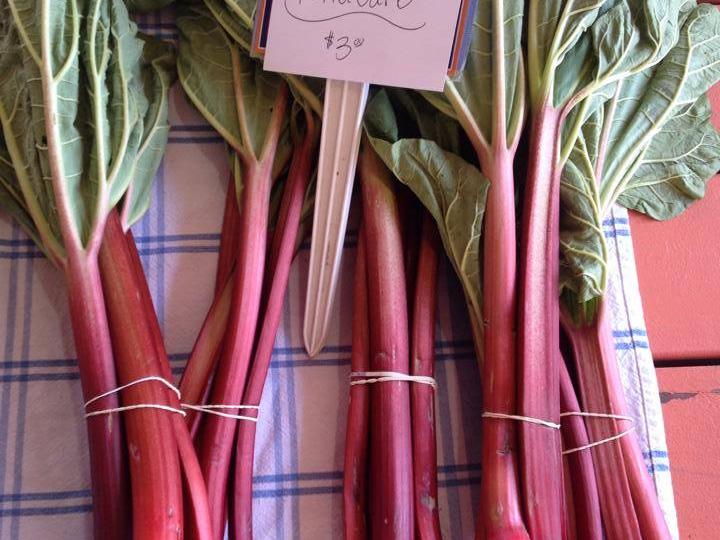 Rhubarb for sale