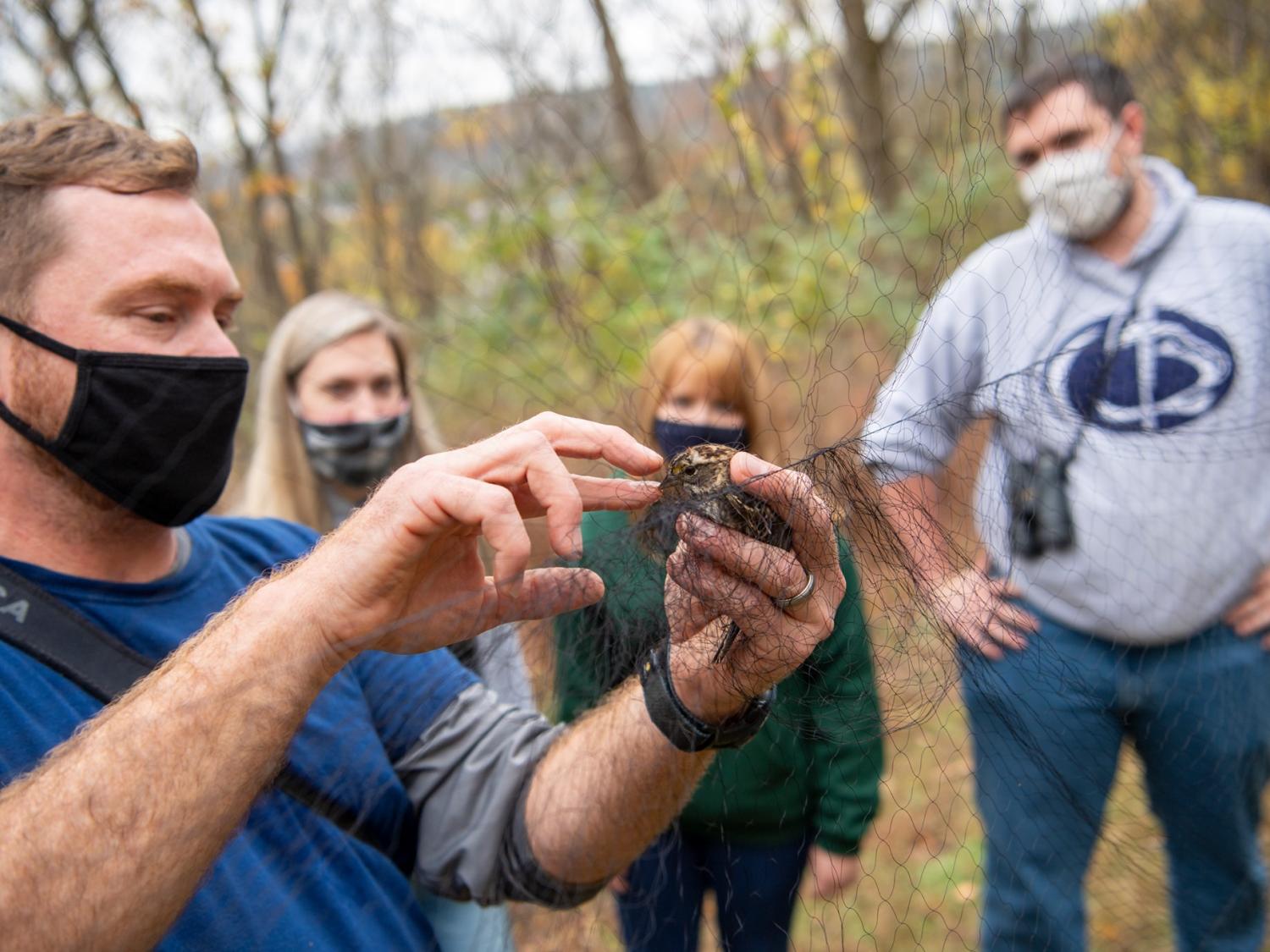 Man wearing face mask handles a small bird captured in a net in the woods while three students observe in the background.
