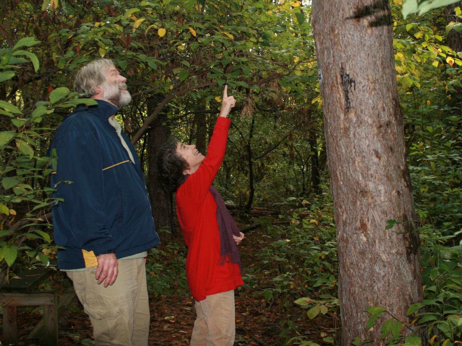 Faculty on trail