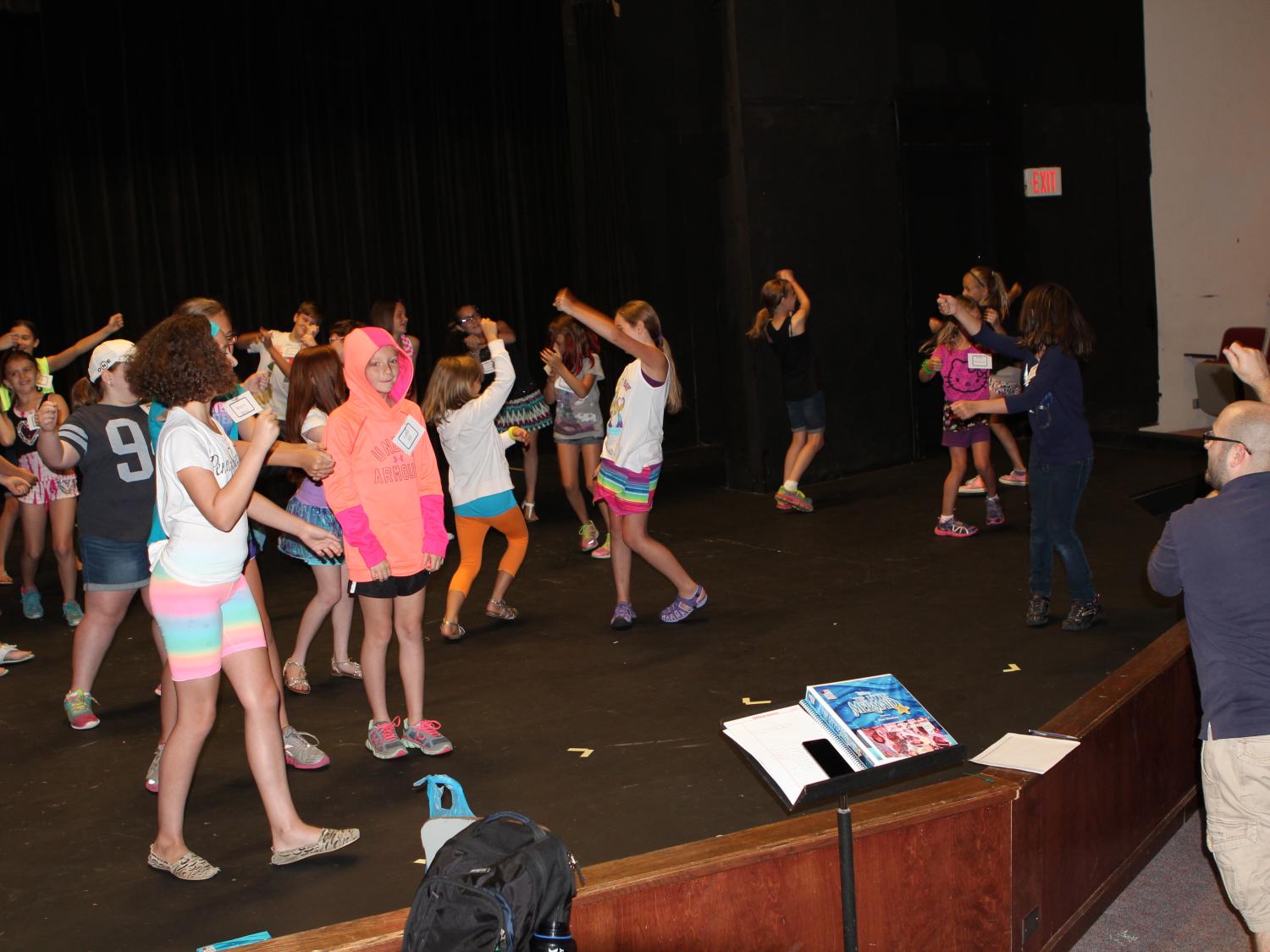 Theatre camp