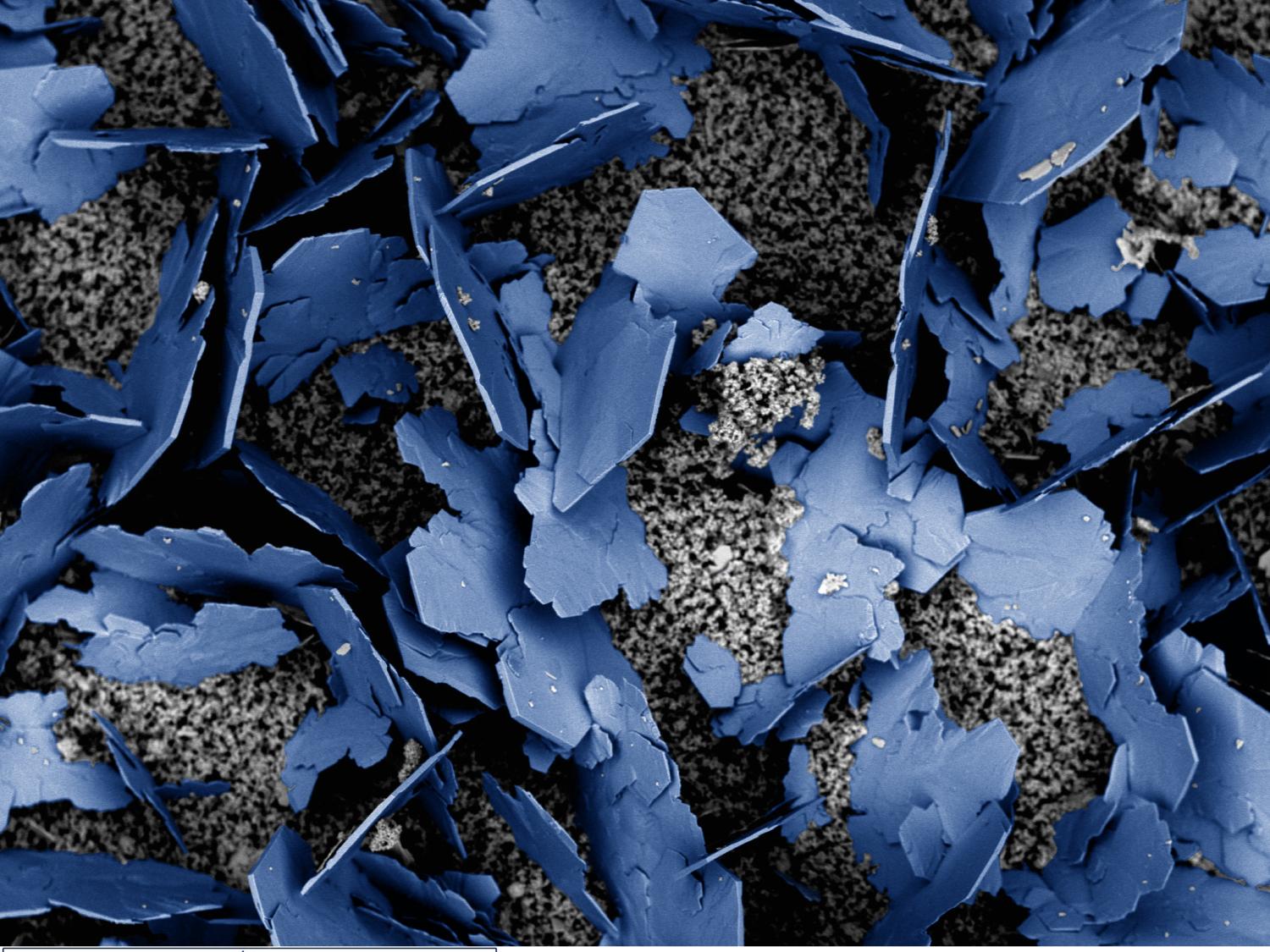 Closeup of false-colored portlandite (calcium hydroxide) crystals in blue.