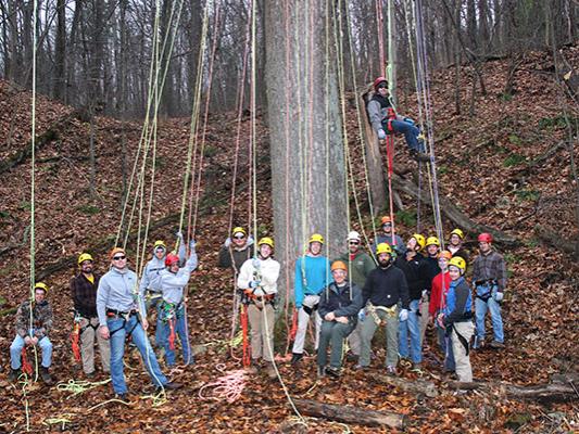 Big Tree Climb