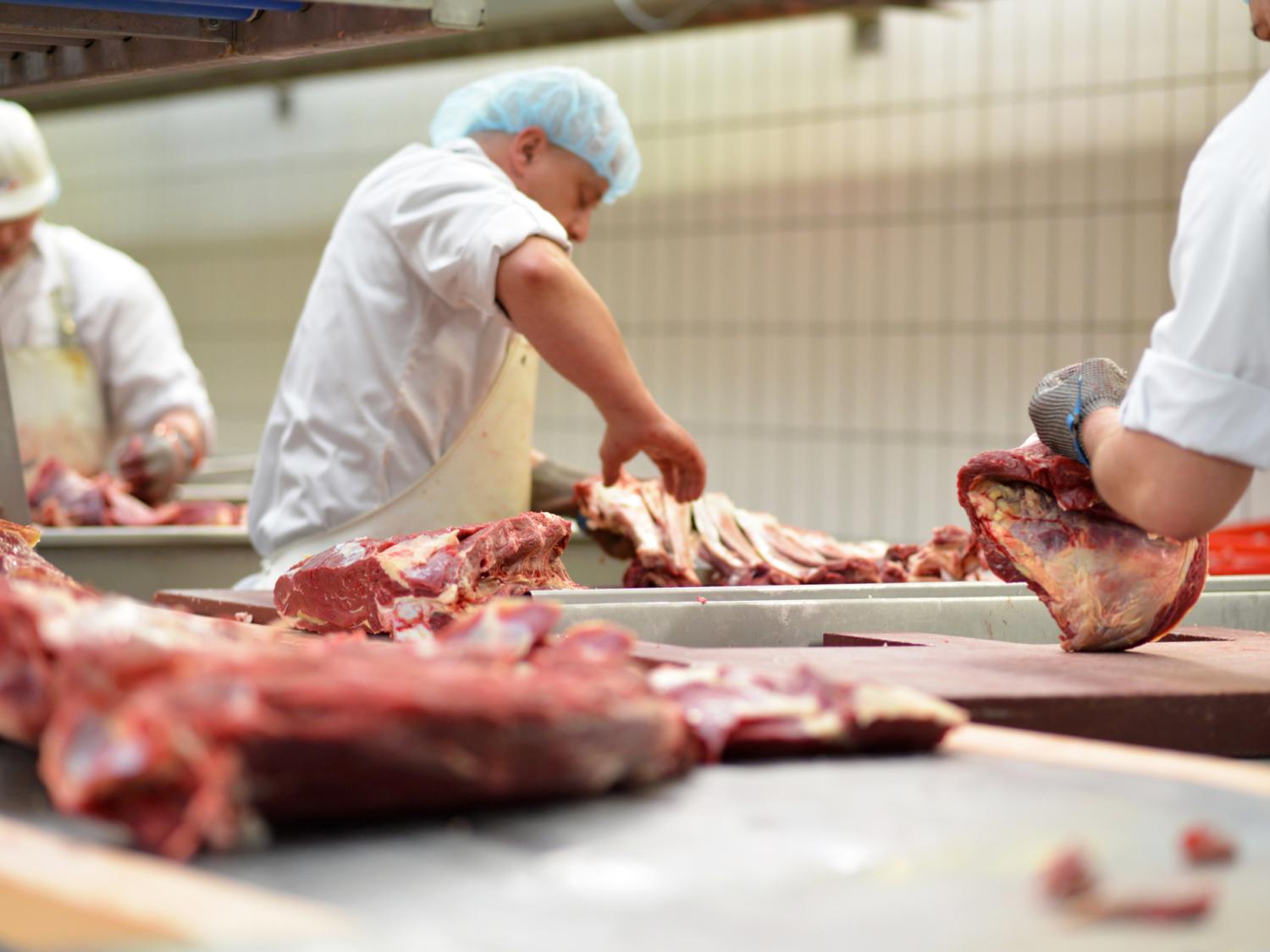 workers process beef