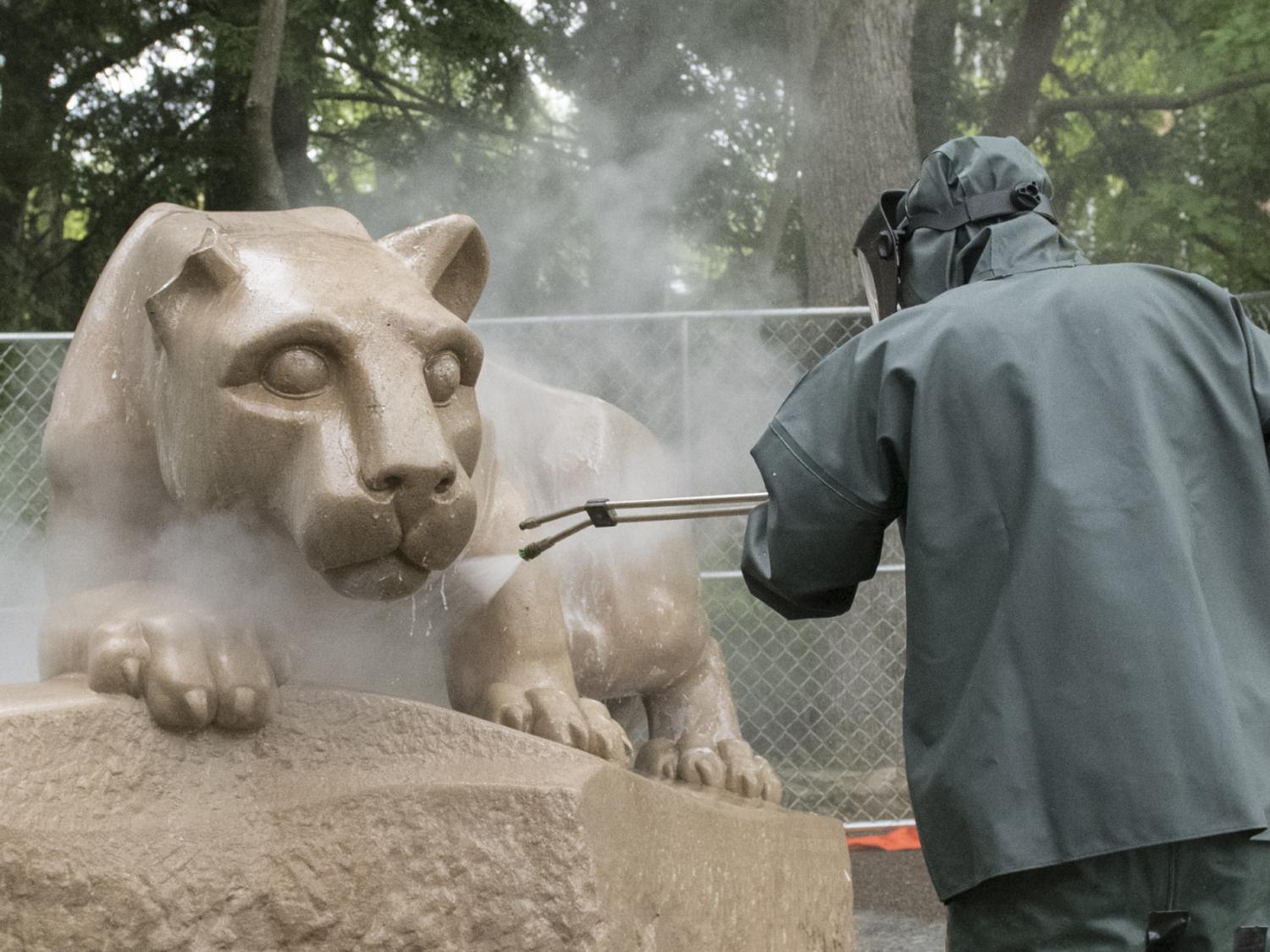 Lion power wash