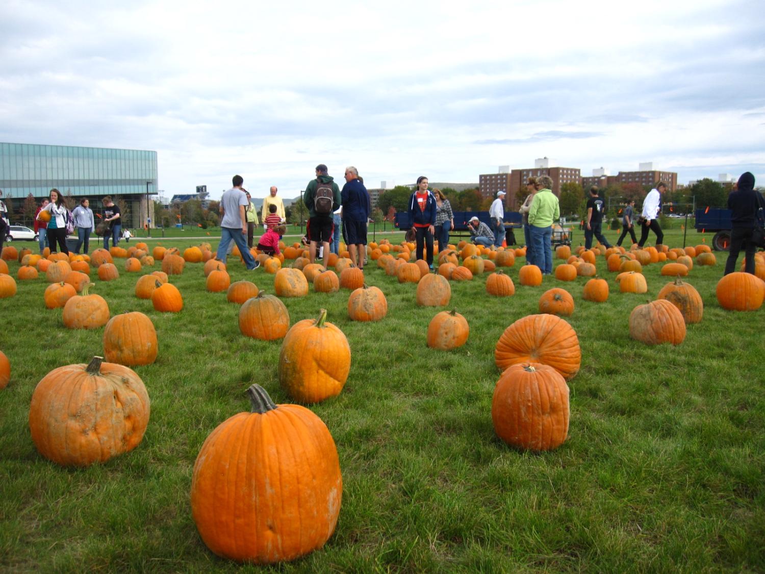photo of Arboretum pumpkin contest 