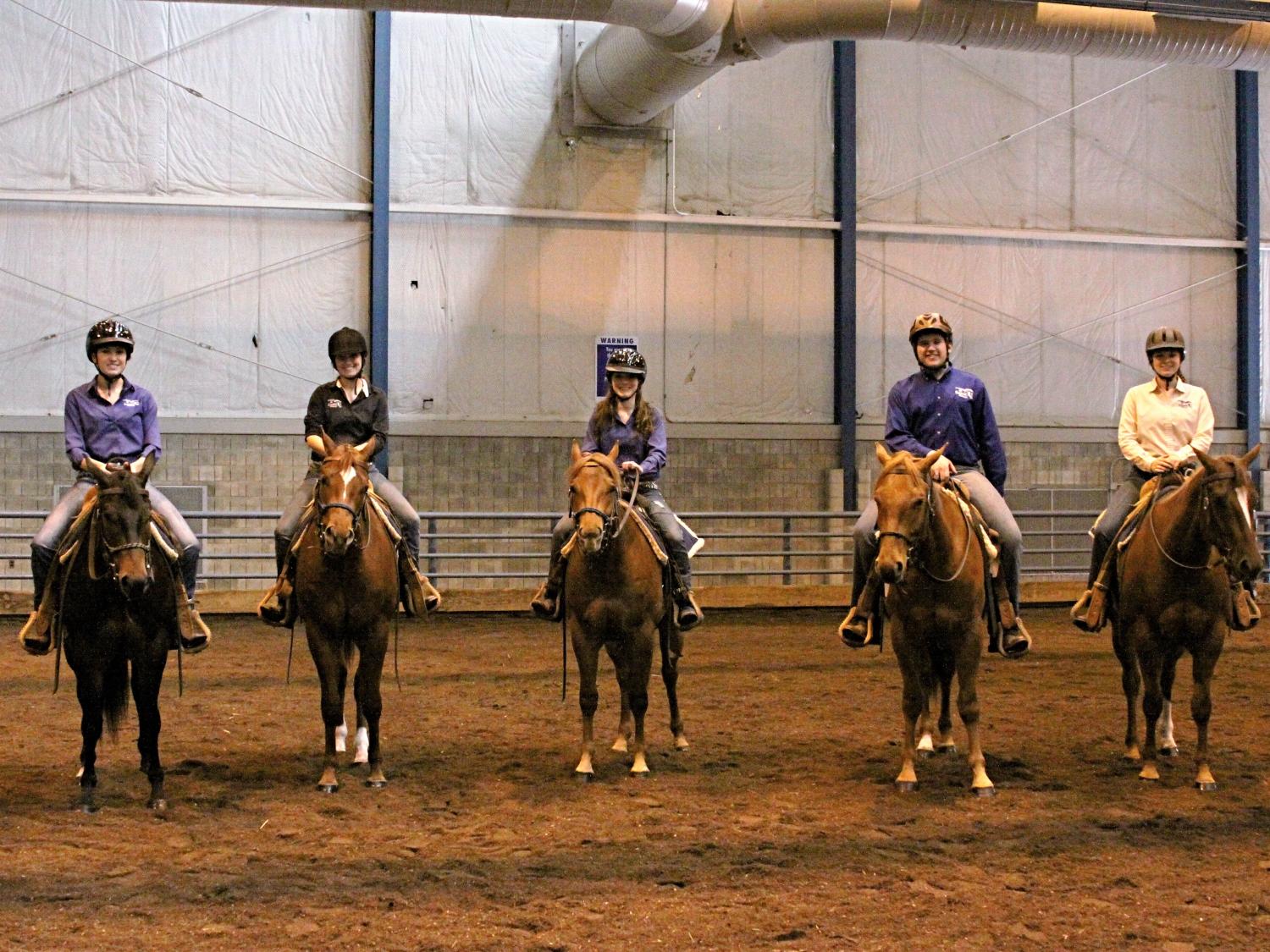 Horse show one