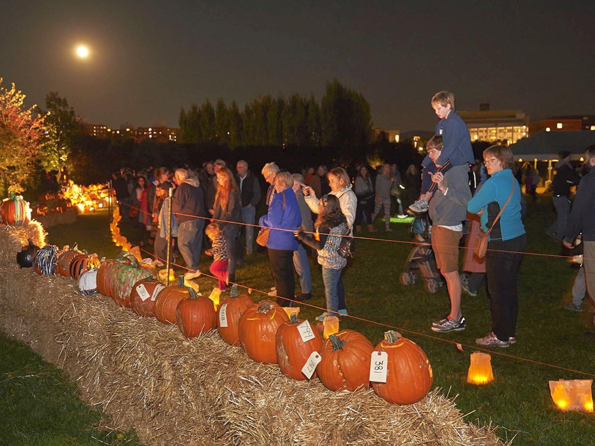 2016 Pumpkin Festival visitors