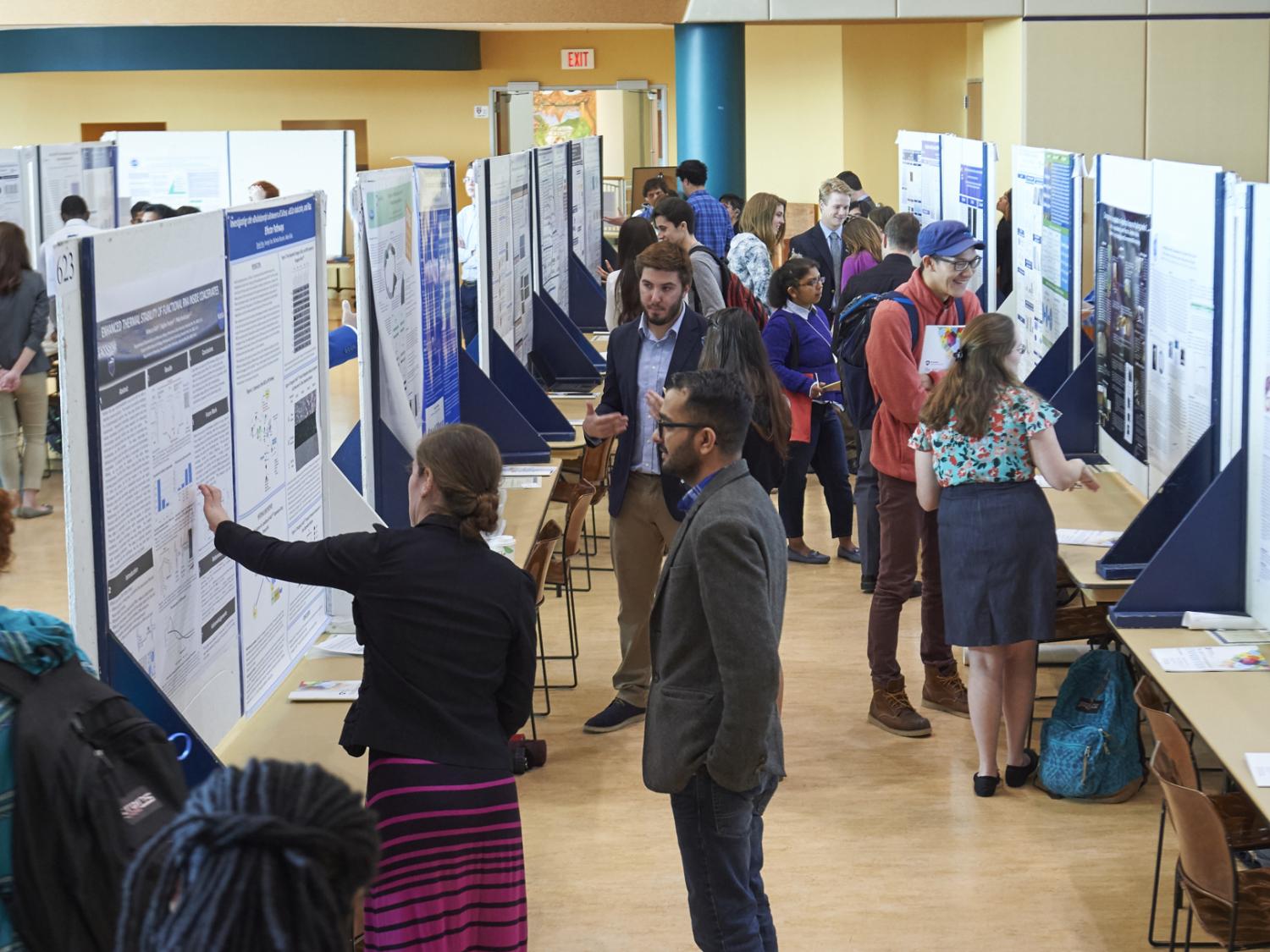 Student researchers show off their work during the 2017 exhibition