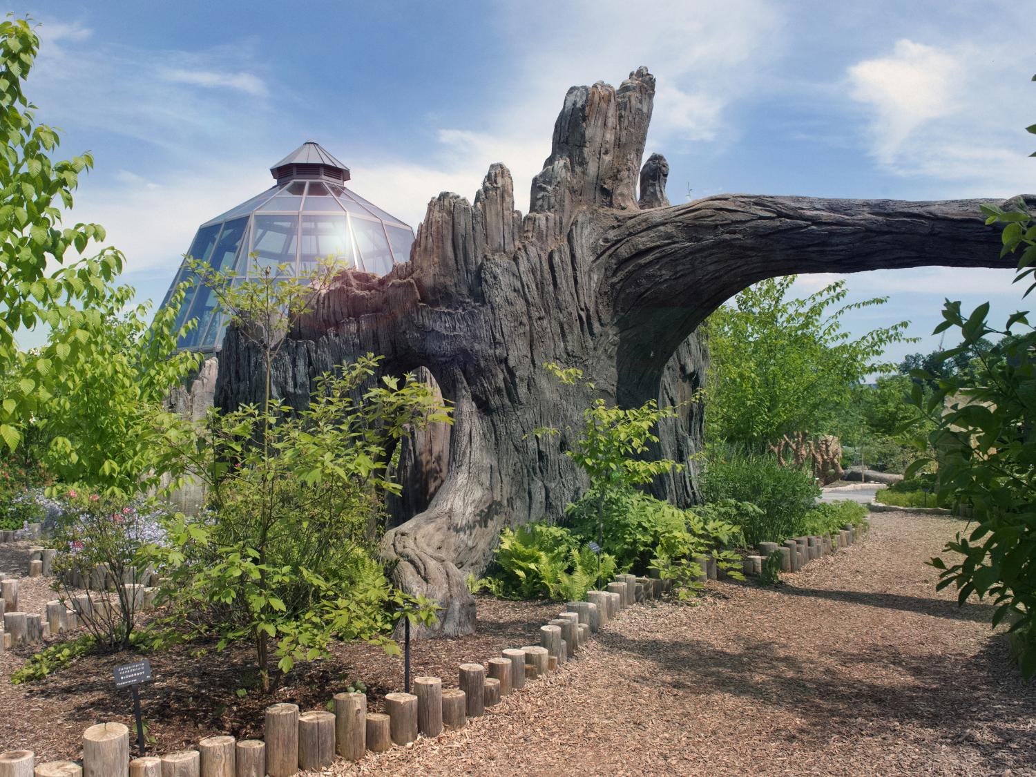 Arboretum