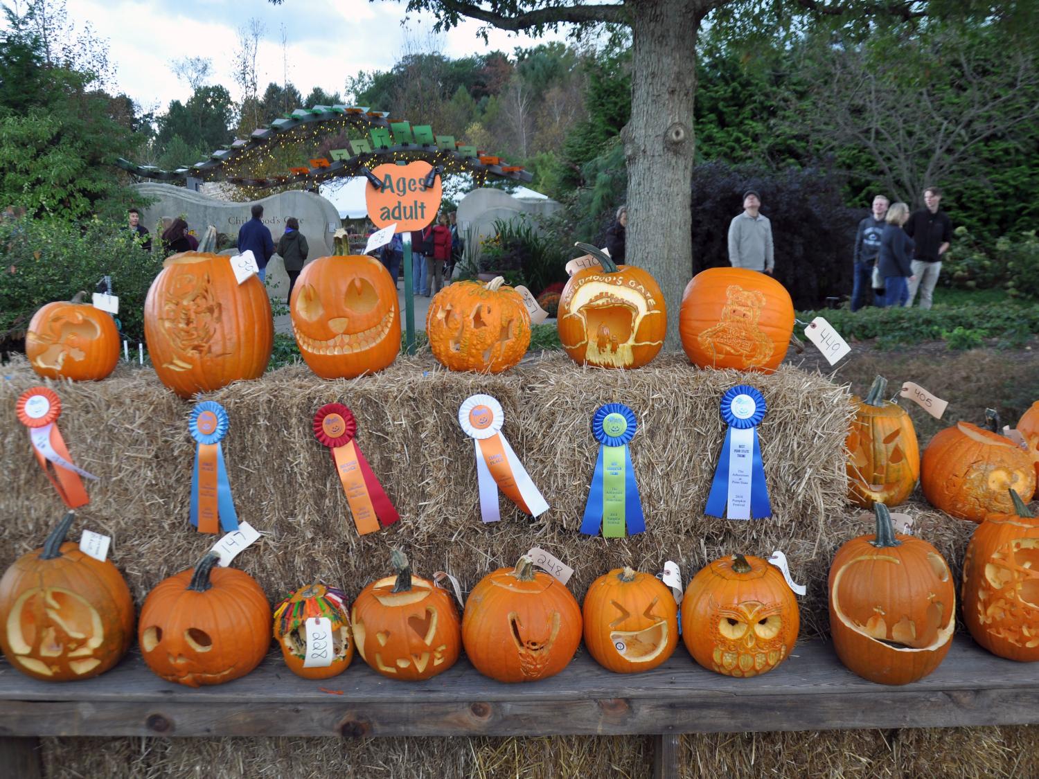 2018 Pumpkin Festival jack-o-lanterns