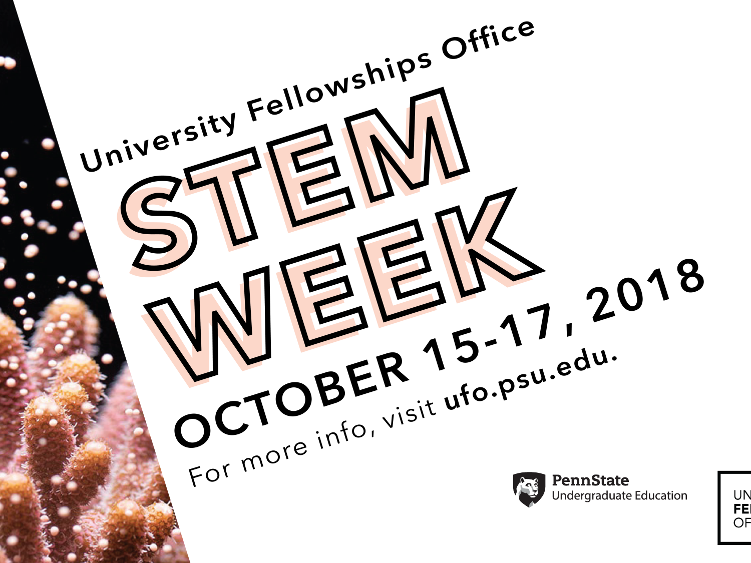STEM Week October 15 to 17