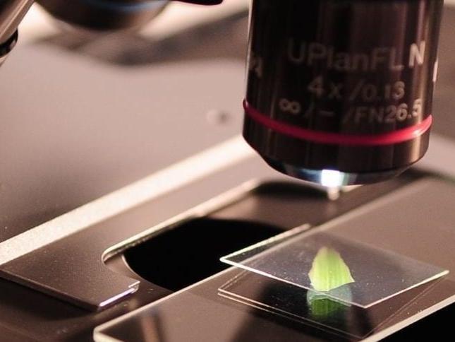 An inaugural University-wide undergraduate research symposium will showcase work being conducted by women, minorities and first-year students in STEM fields.