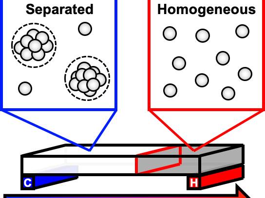 diagram of phase separation over temperature gradient