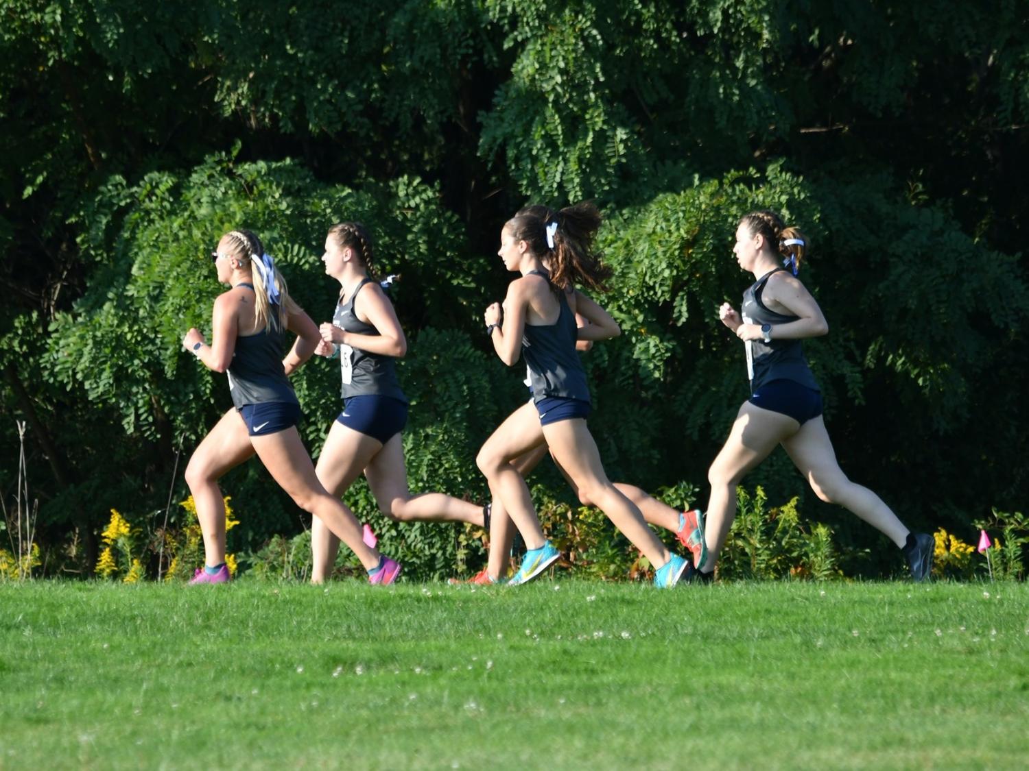 Five cross country runners advance through a course at Penn State Behrend.