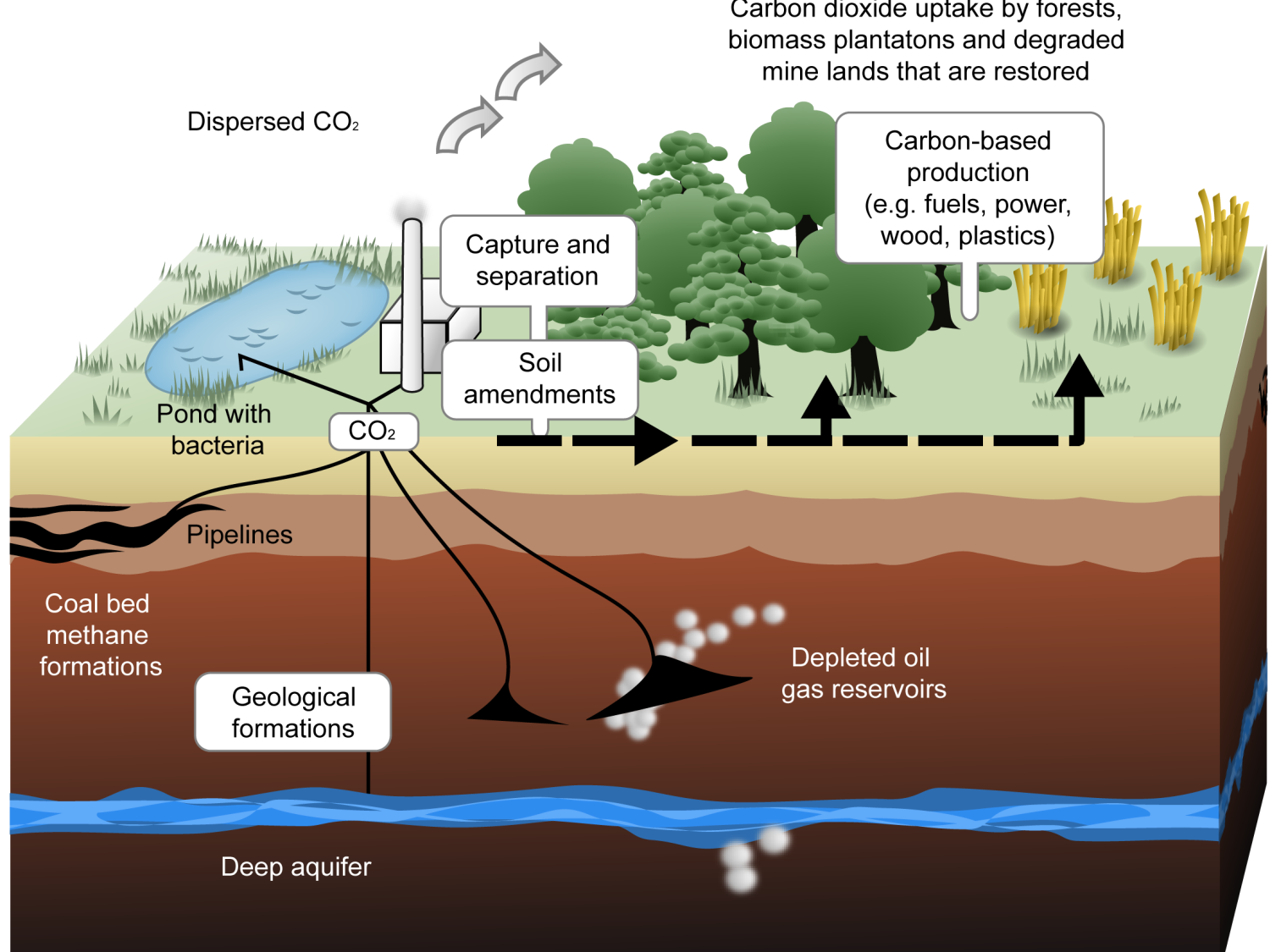 Illustration showing process of carbon production, capture, and storage