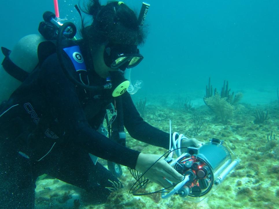 Diving in Puerto Morelos, Mexico, Claudia Tatiana Galindo-Martínez measures a light profile using a cosine-corrected light sensor attached to a DIVING-PAM underwater fluorometer.