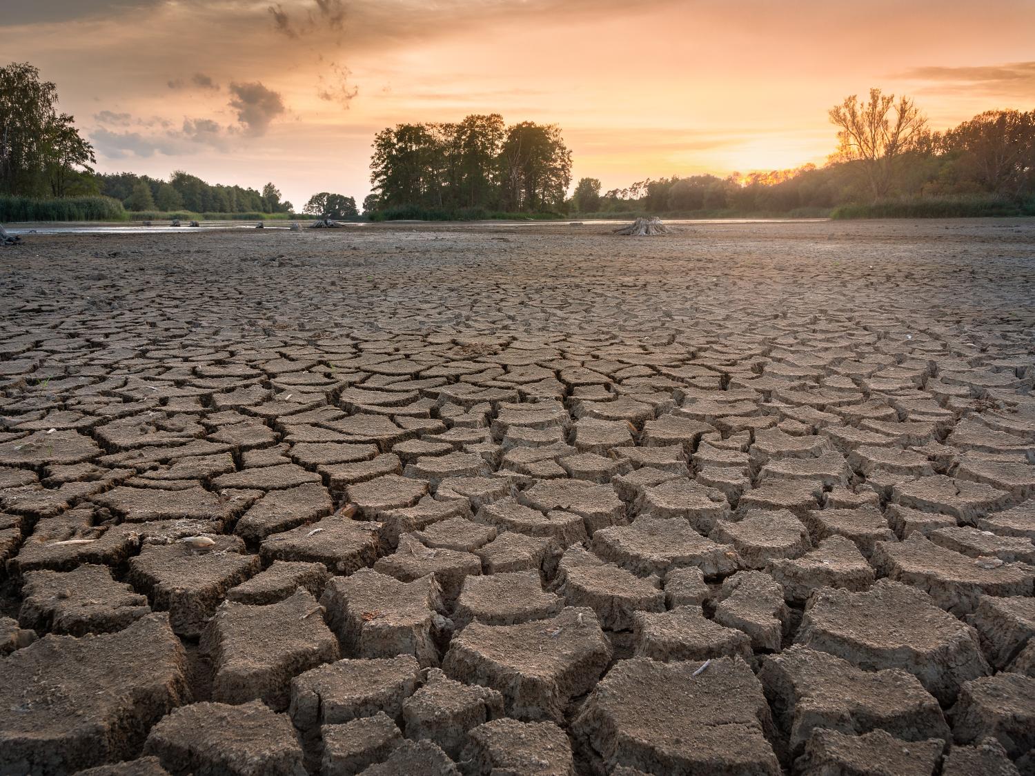 A picture of dry earth that has deep cracks from drought, with the sun setting in the background. 