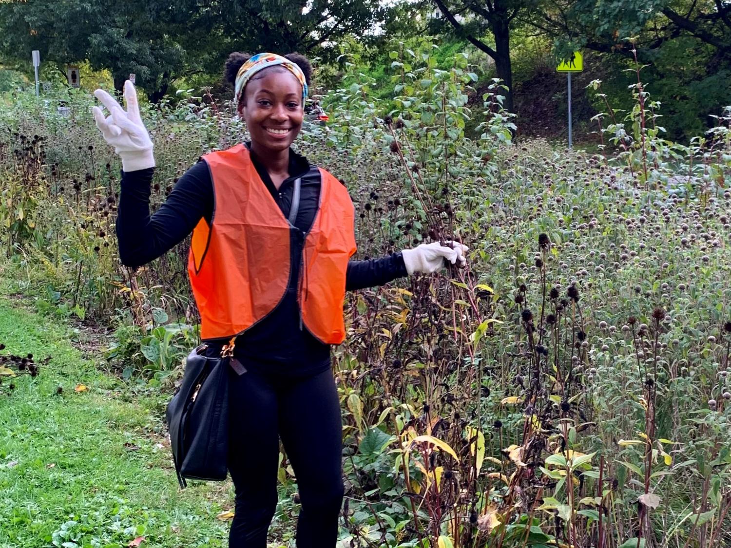 Sustainable study abroad