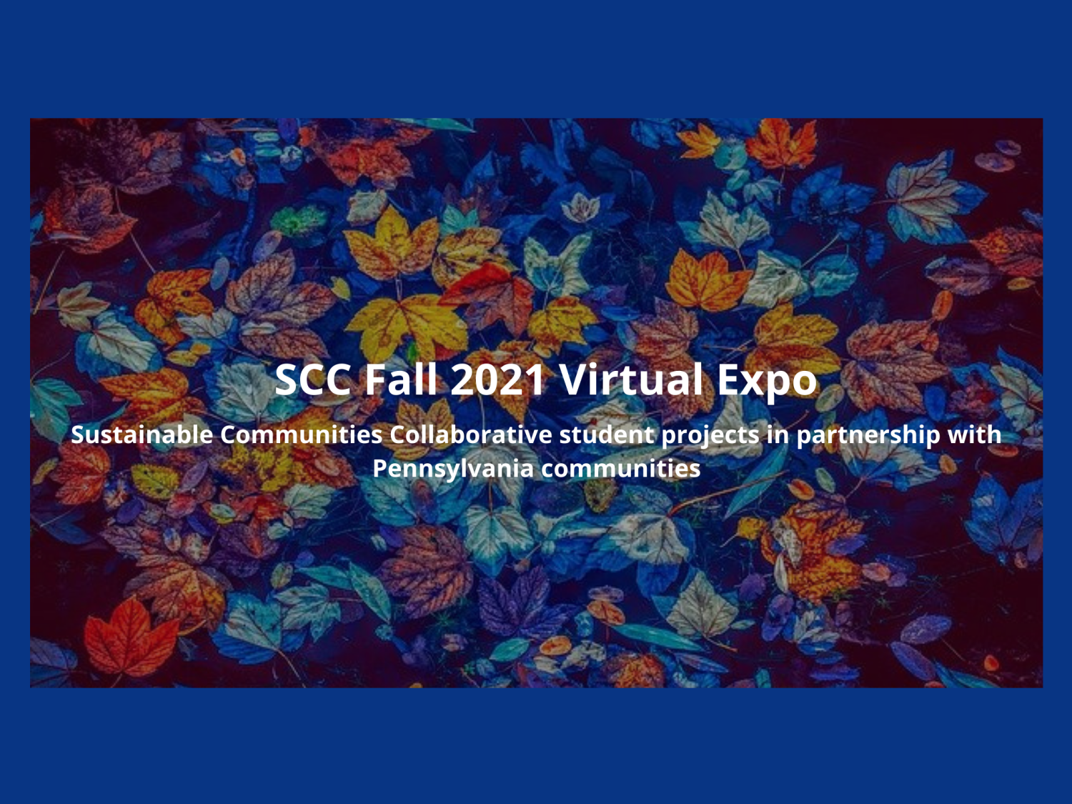 SCC Fall 2021 Virtual Expo banner with fall-colored leaves background