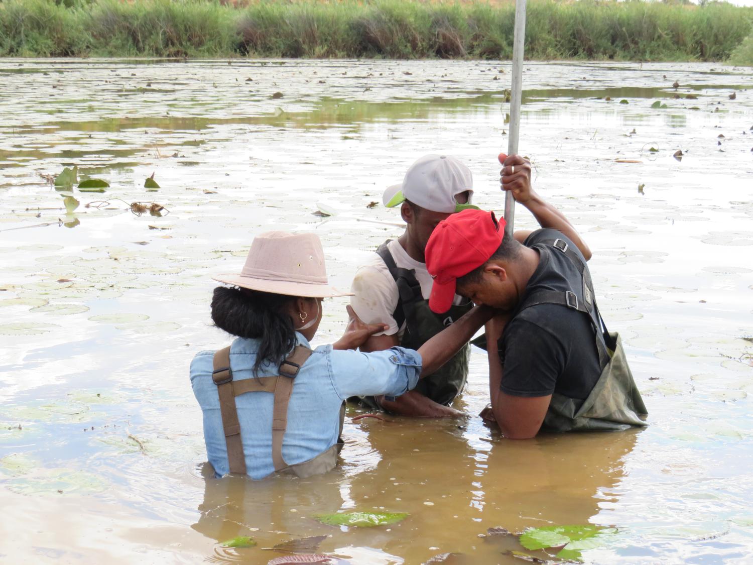 Estelle Razanatsoa and her team doing sediment coring.