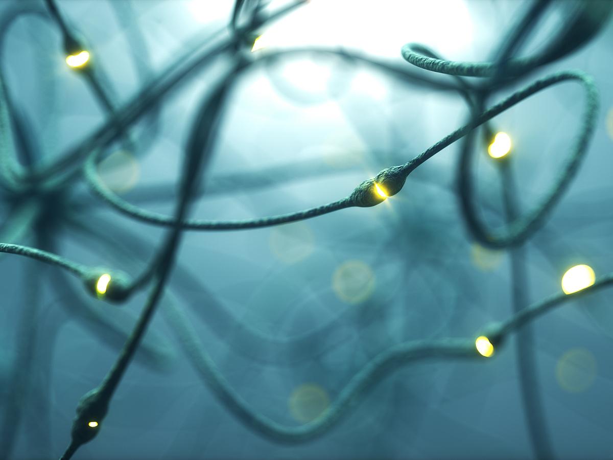 Neurons interact with each other in the body. 