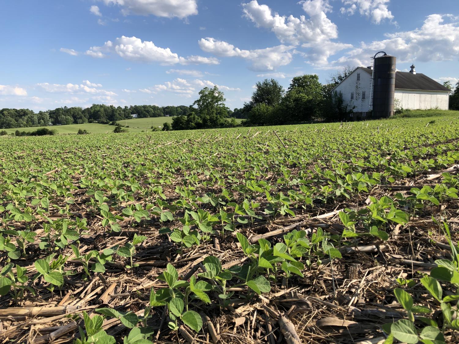 Pa. farm field