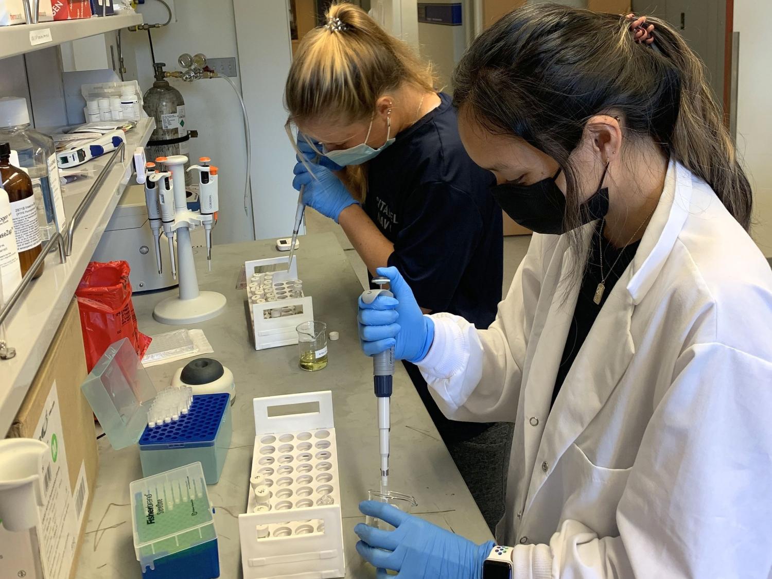 Penn State entomology graduate student Anna Cressman and Saint Francis University student Jordan Pietrzykoski work in a Penn State lab