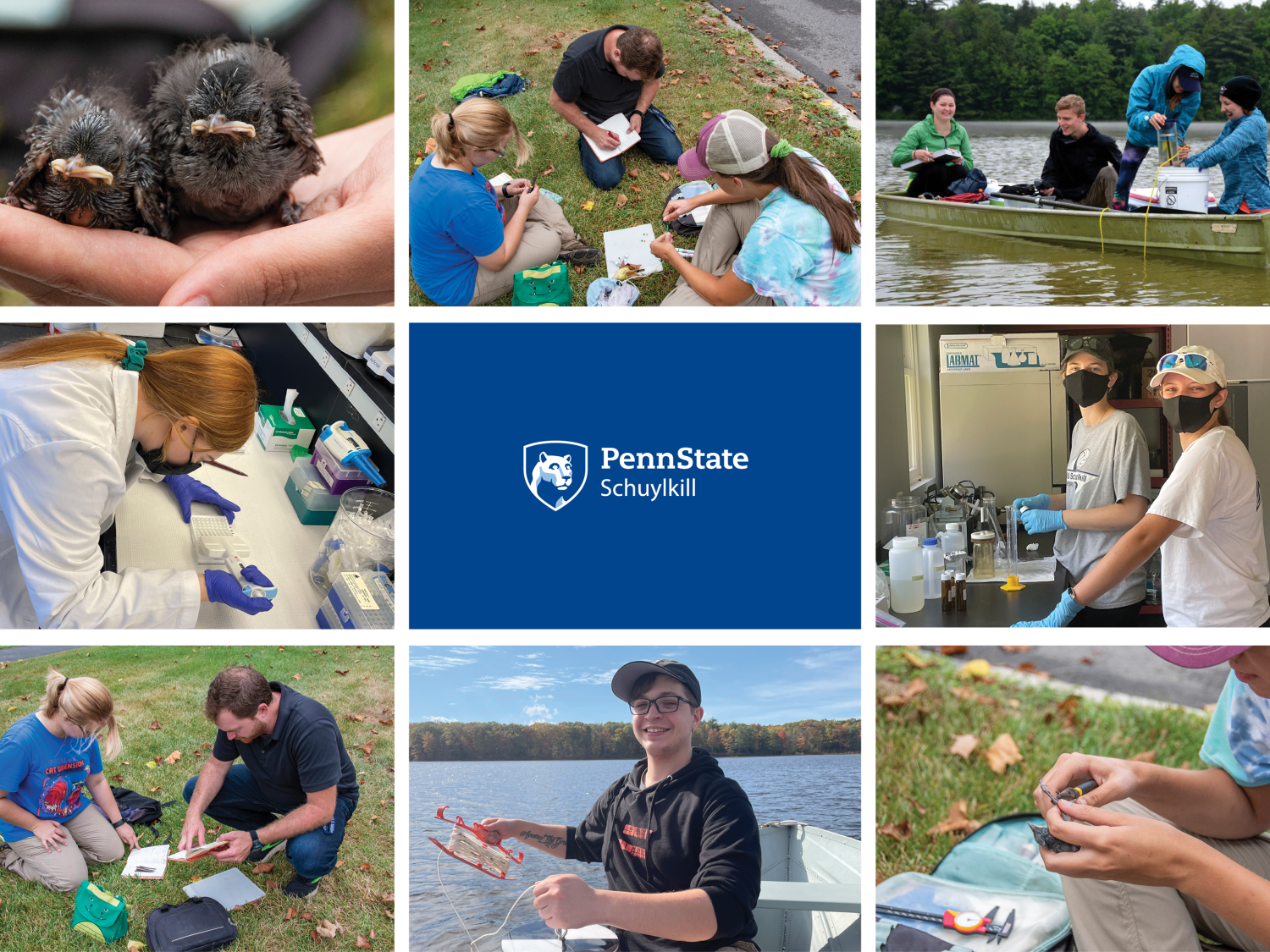 A grid of photos showing student and faculty researchers conducting fieldwork