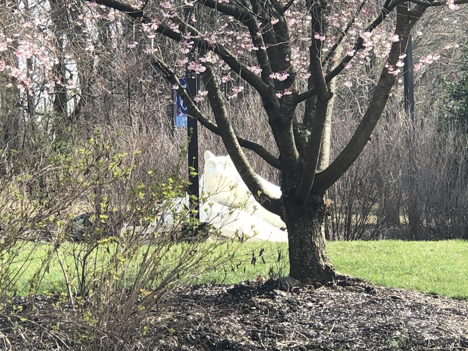The Penn State York Nittany Lion Shrine on the hill in the sun