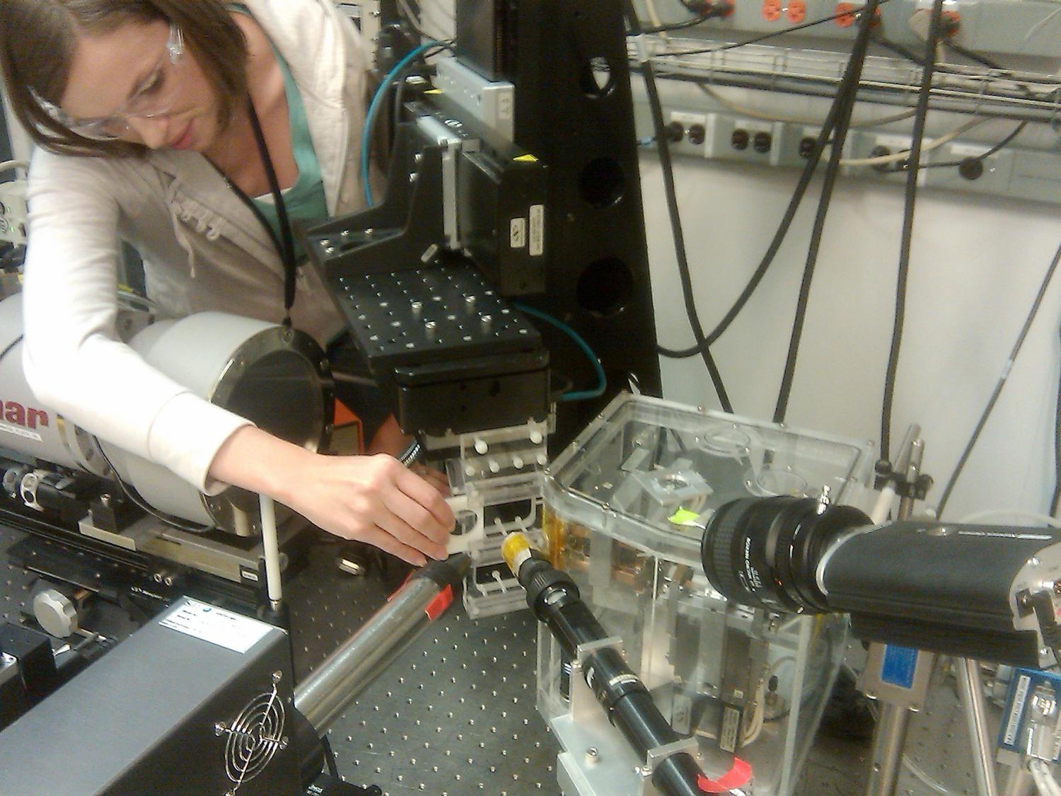 Christina Lopano is a research physical scientist at the Department of Energy's National Energy Technology Laboratory in Pittsburgh