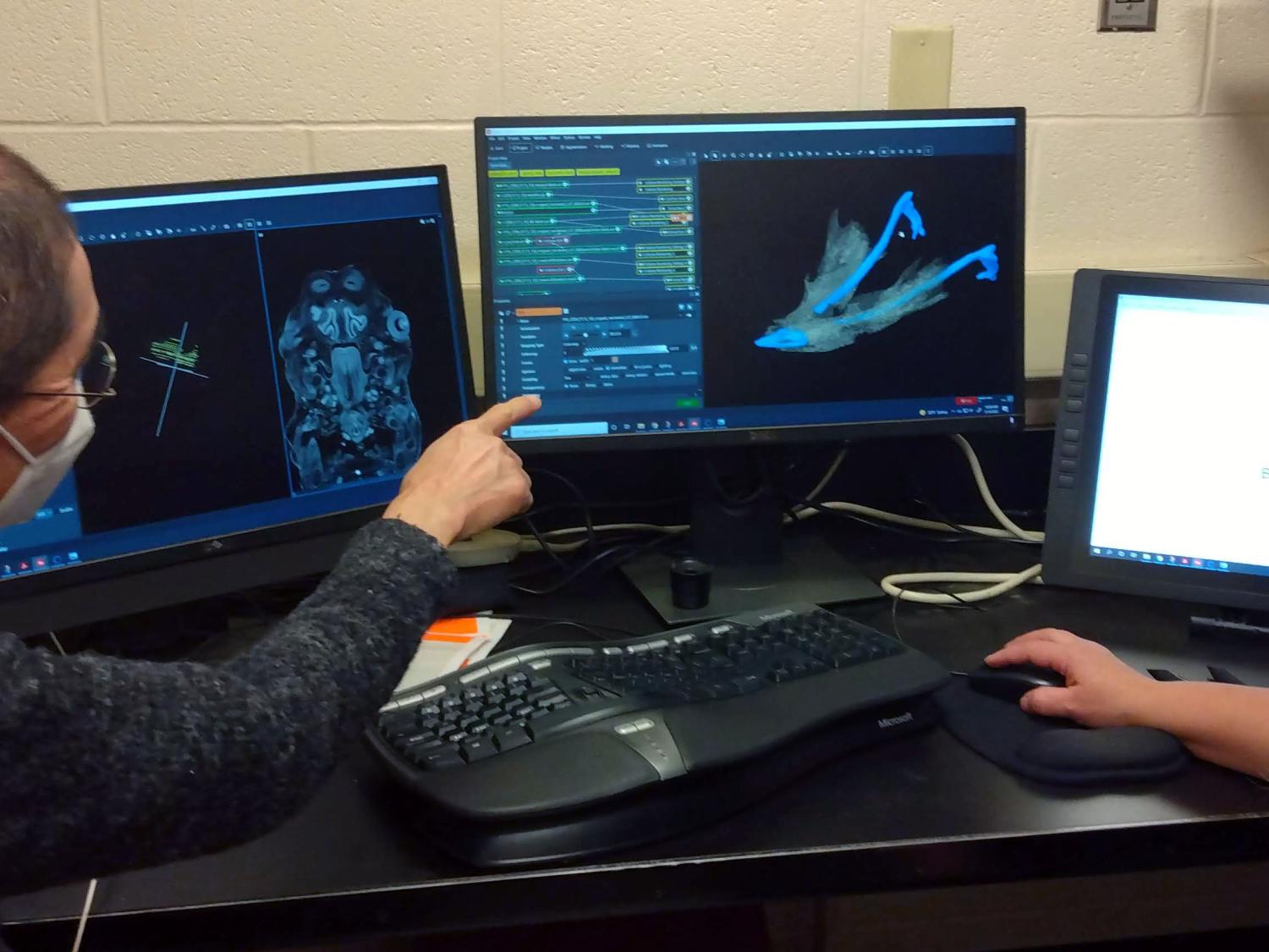 a man on the left and a woman on the right seated looking at computer screens. that screen contains images of embryonic bones
