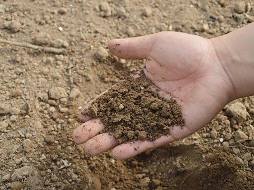 dirt