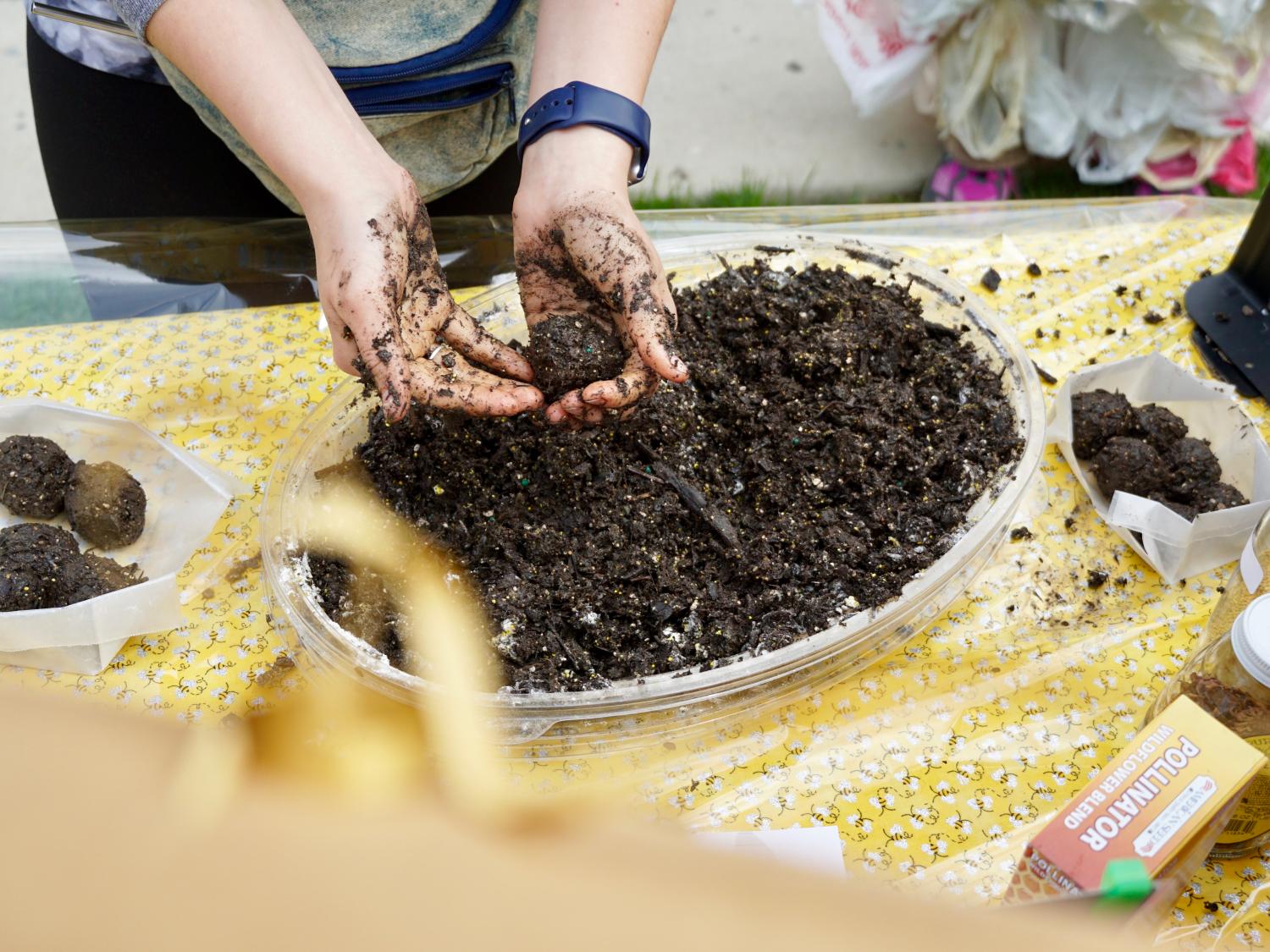 Two hands scooping dirt from an aluminum pie plate