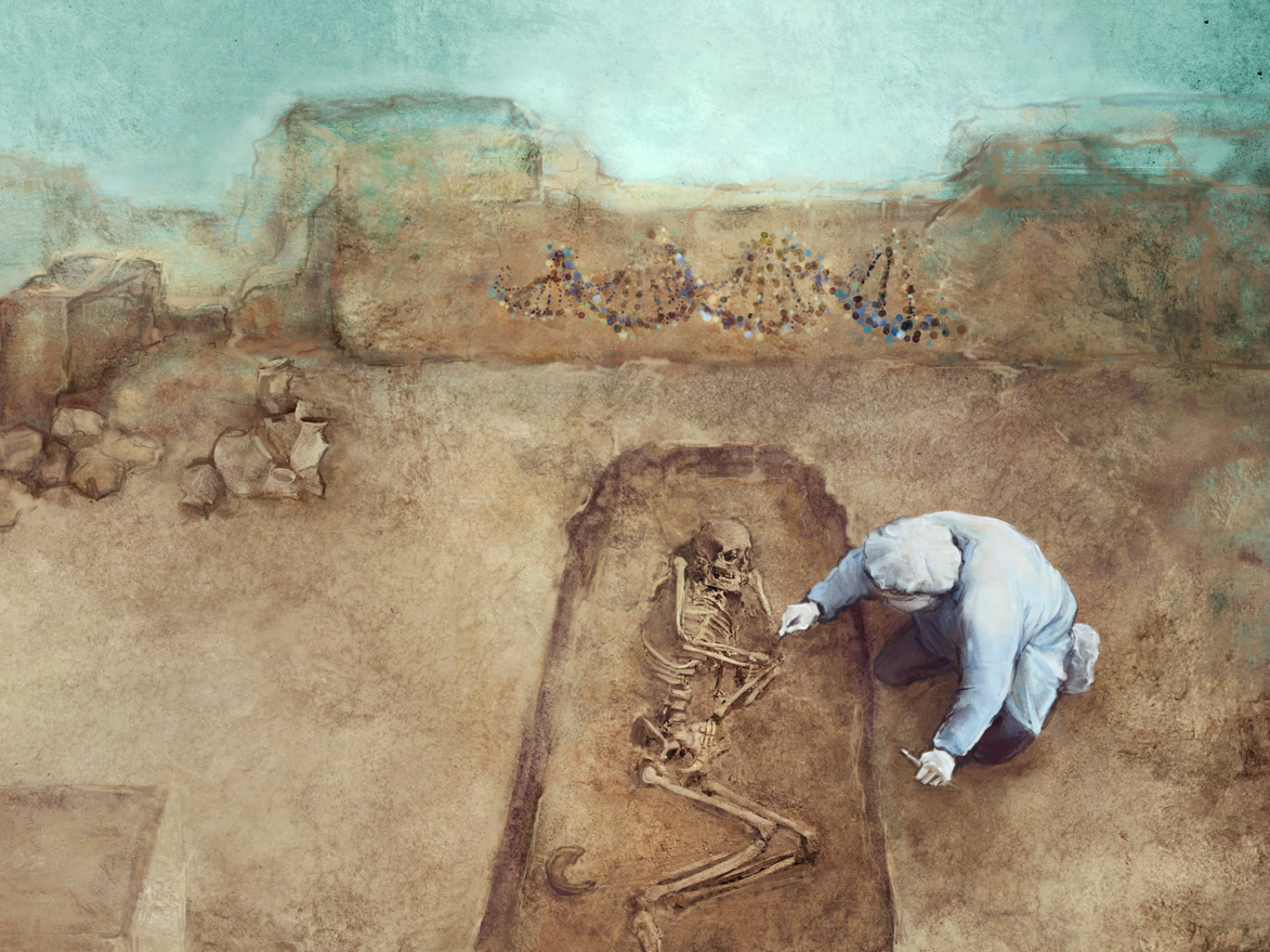 drawing of an anthropologist excavating a skeleton at an archaeological site.walls and pottery visiable in surroundings