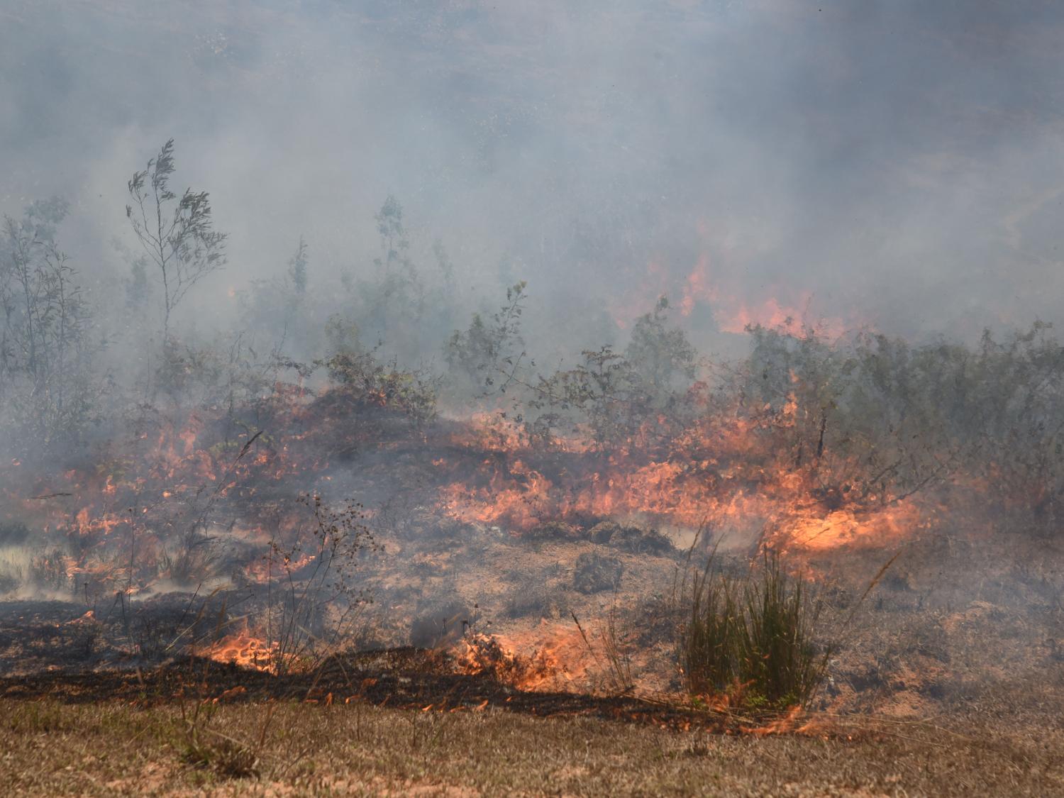 wide shot of fire consuming grasslands