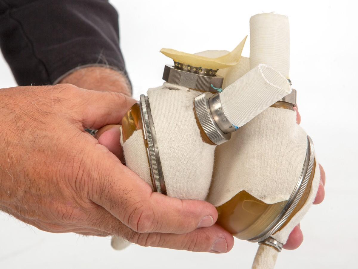 A pair of hands holds an artificial heart device. 