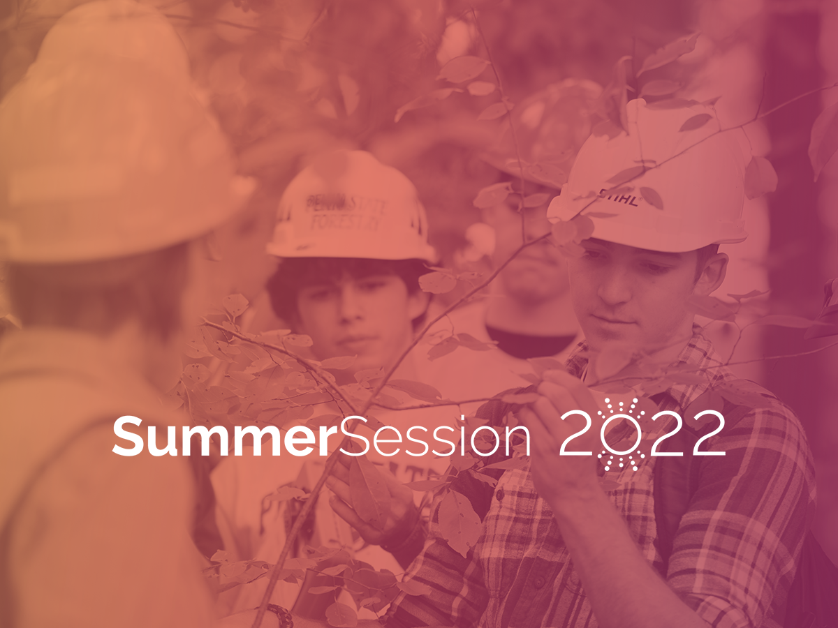 A group of male students wearing hard hats and examining leaves on trees, overlaid with an orange/red filter, with the text "SummerSession 2022"