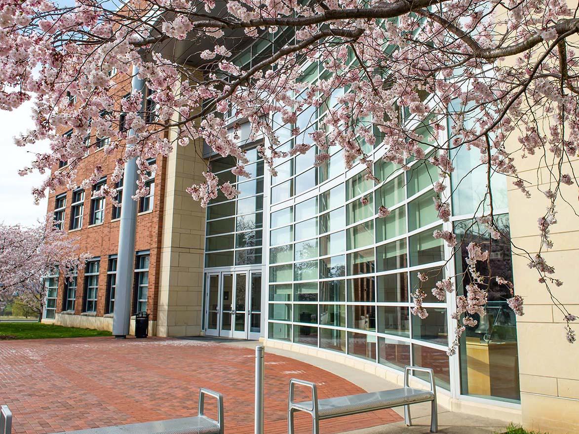 The front of the Business Building is shown