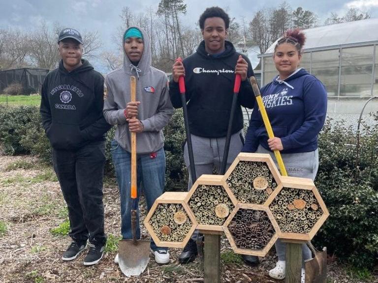 Students with bee hotels