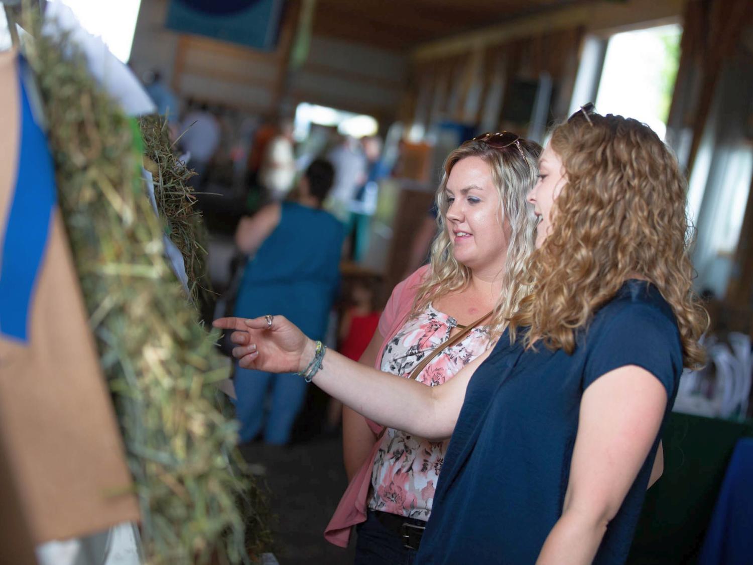 Visitors look at entries in the Hay Show at Ag Progress Days