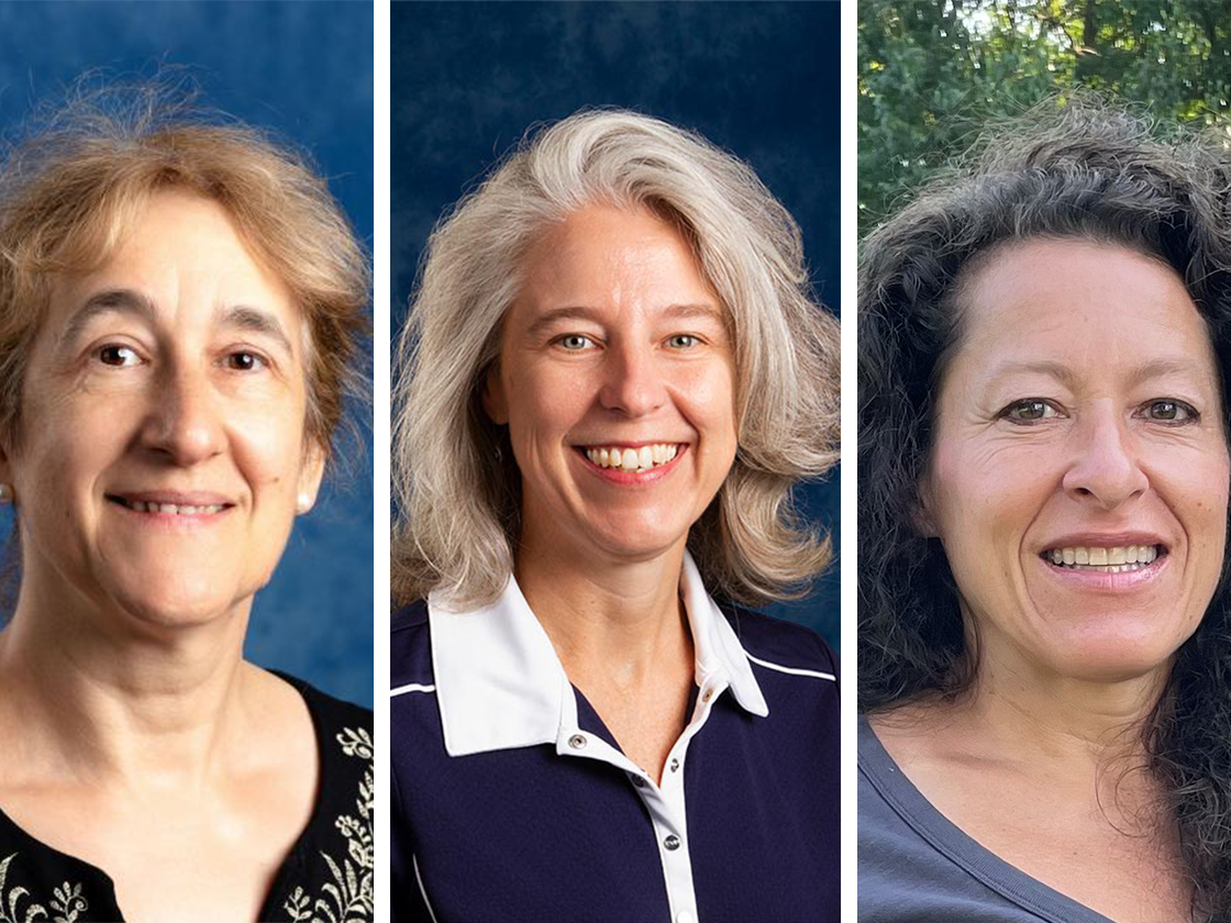 Headshots of three female Penn State Hazleton faculty members.
