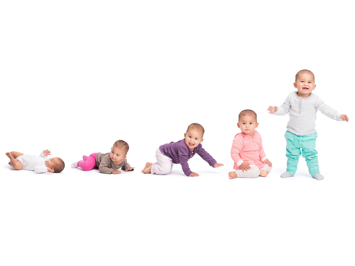 Baby development stages - baby laying, baby on stomach, crawling, sitting and finally standing.