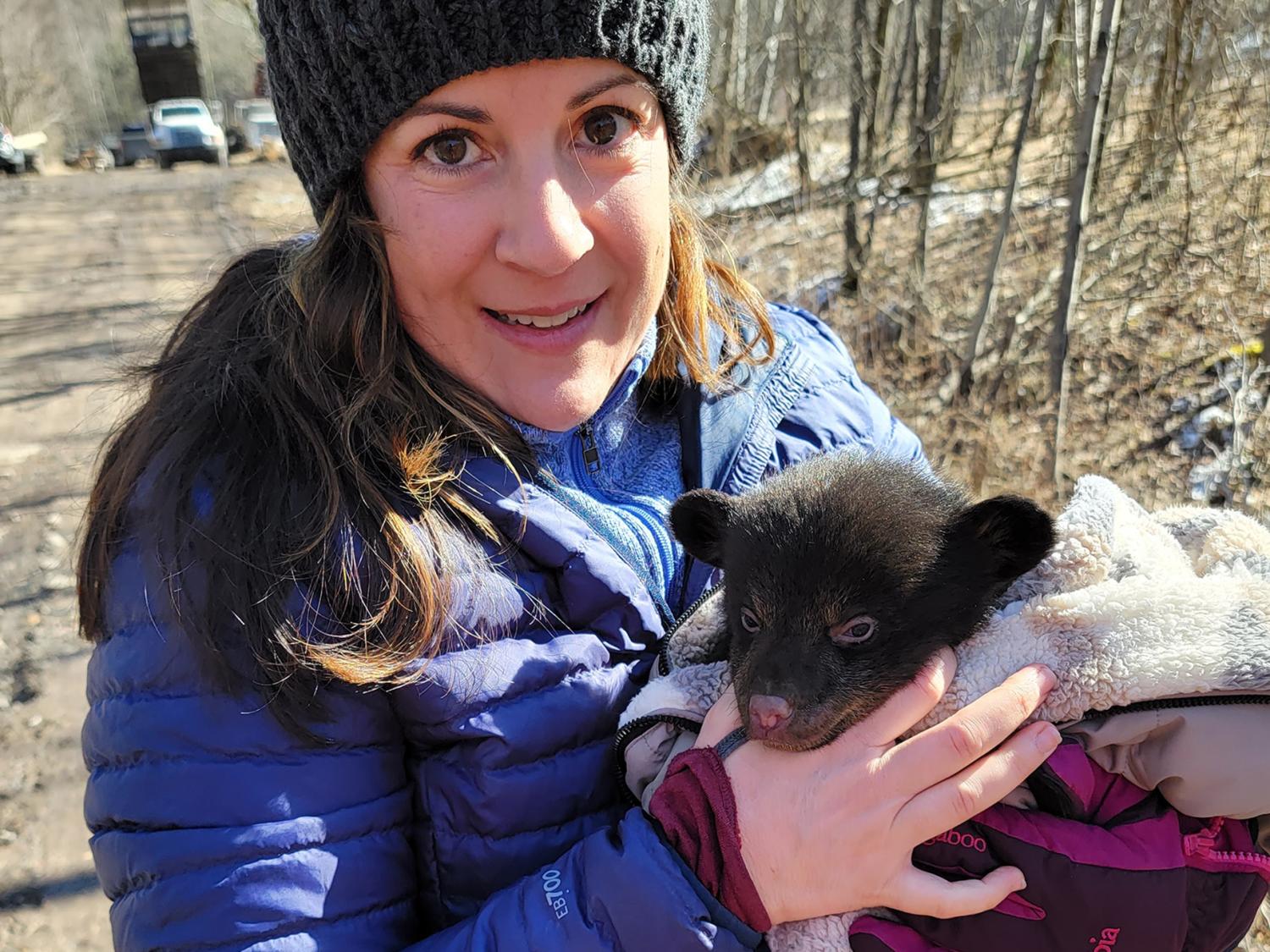 Haley Sankey joined biologists from the Pennsylvania Game Commission when they checked on the health of a mother black bear and her cubs at a den in Central Pennsylvania