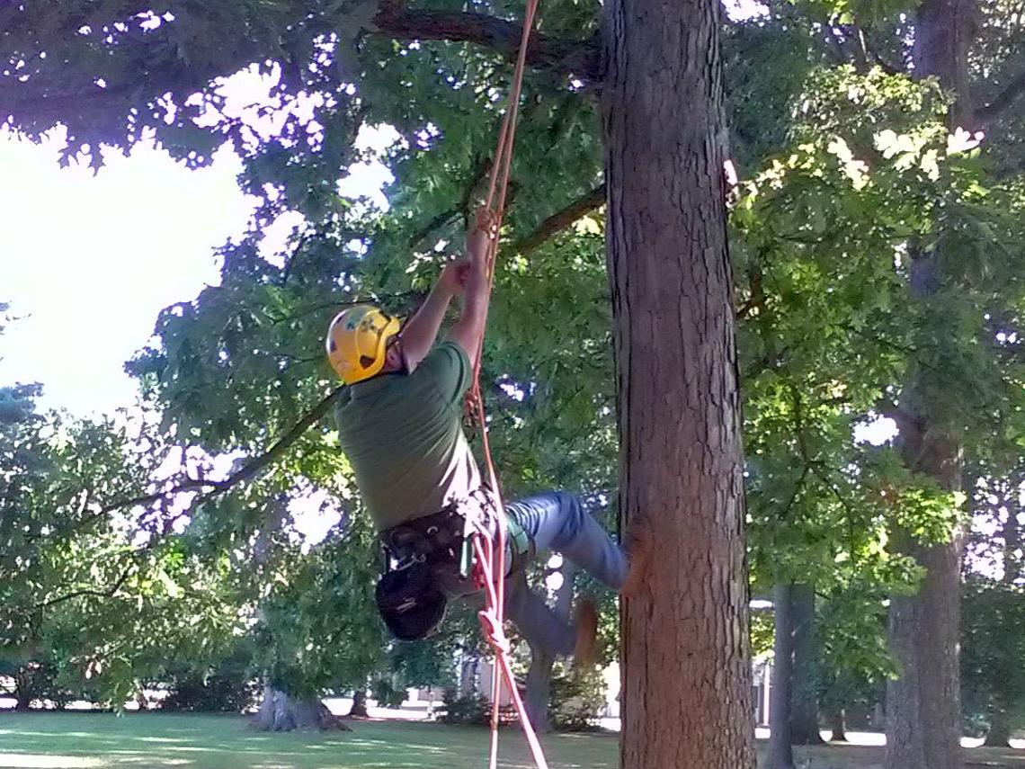 An instructor demonstrates proper climbing techniques for Tree Climbing School participants
