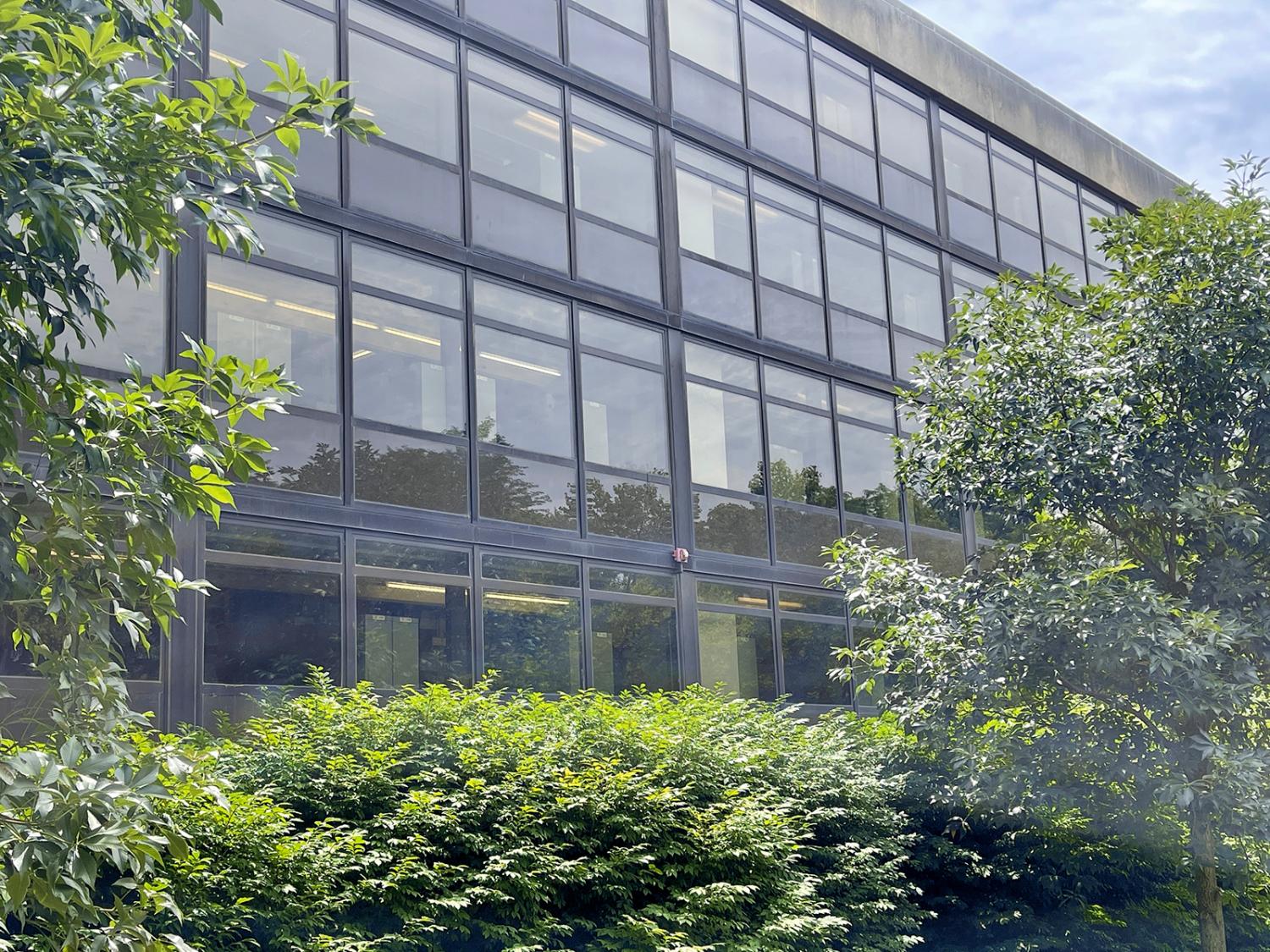A wall of windows outside of the library
