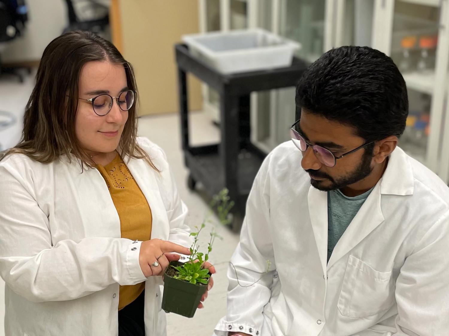 researchers discussing genetics